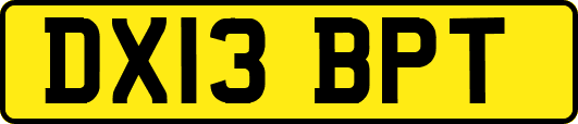 DX13BPT