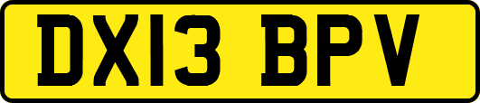 DX13BPV