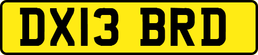DX13BRD
