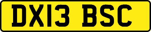DX13BSC