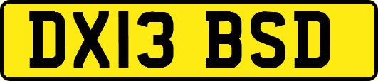 DX13BSD