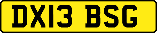 DX13BSG