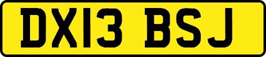 DX13BSJ