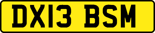 DX13BSM