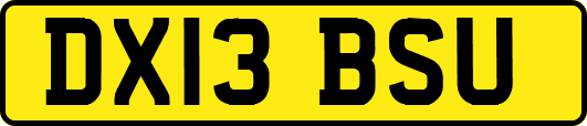 DX13BSU