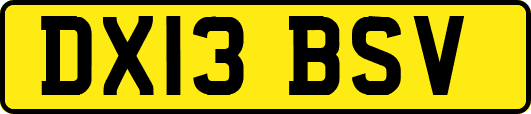 DX13BSV