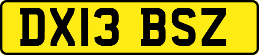DX13BSZ