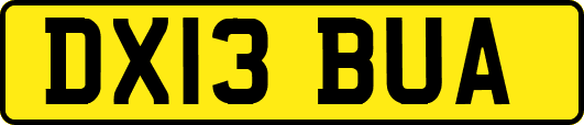 DX13BUA