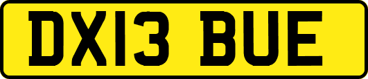 DX13BUE