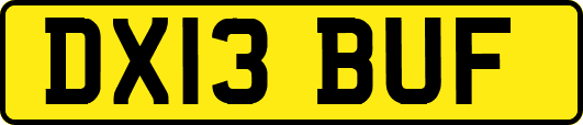 DX13BUF