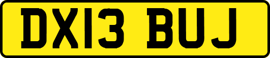 DX13BUJ