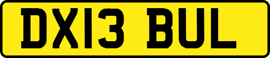 DX13BUL