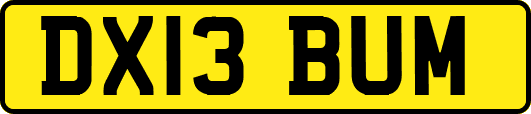 DX13BUM