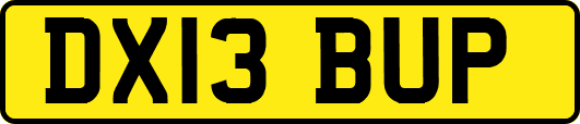 DX13BUP