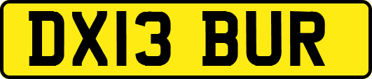 DX13BUR