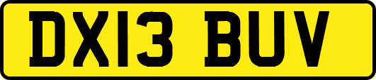 DX13BUV