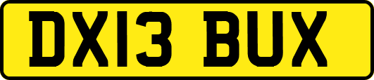 DX13BUX