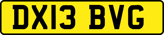 DX13BVG