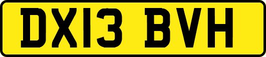 DX13BVH