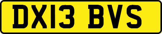 DX13BVS