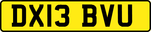 DX13BVU