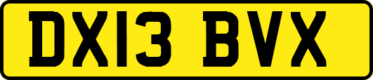 DX13BVX