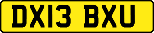 DX13BXU