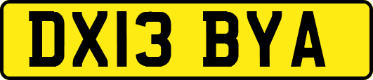 DX13BYA