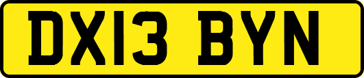 DX13BYN