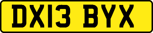 DX13BYX