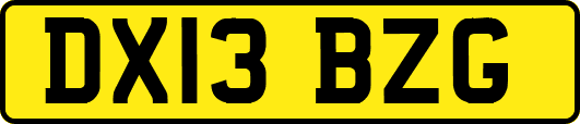 DX13BZG