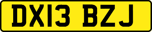 DX13BZJ