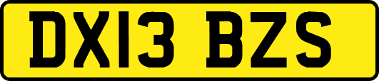 DX13BZS