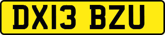 DX13BZU