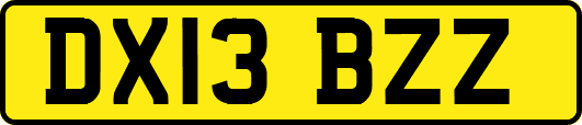DX13BZZ