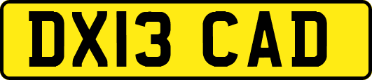 DX13CAD