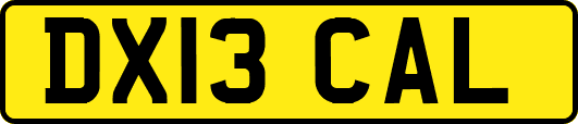 DX13CAL