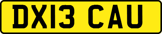 DX13CAU