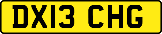 DX13CHG