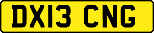 DX13CNG