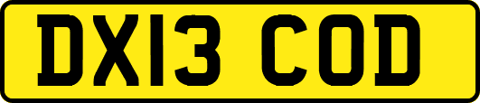 DX13COD