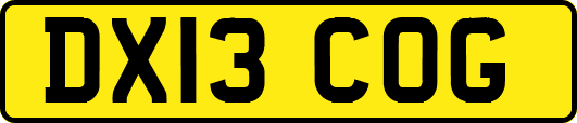 DX13COG