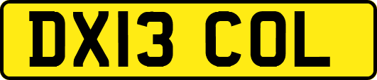 DX13COL