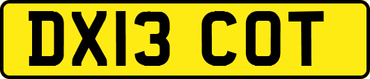 DX13COT