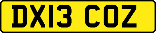 DX13COZ