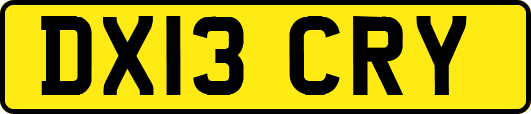 DX13CRY