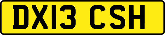 DX13CSH