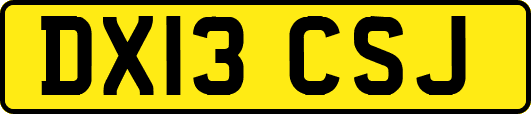 DX13CSJ