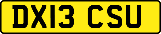 DX13CSU
