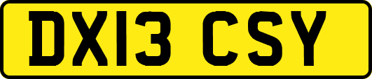 DX13CSY